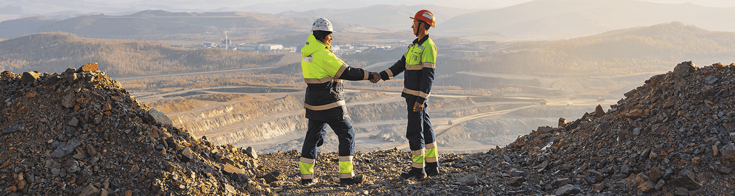 Энергетический дивизион