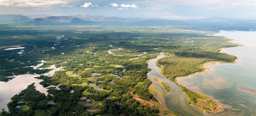 Экологическое благополучие